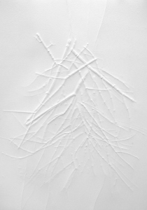 sc_collected_lll_2014_monoprint_24x31-5_unframed_72